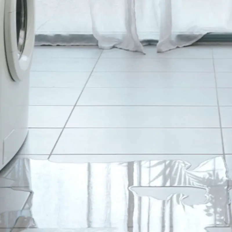 Appliance Leak Cleanup in Napoleon, MI