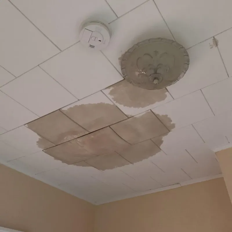 Ceiling Water Damage Repair in Napoleon, MI