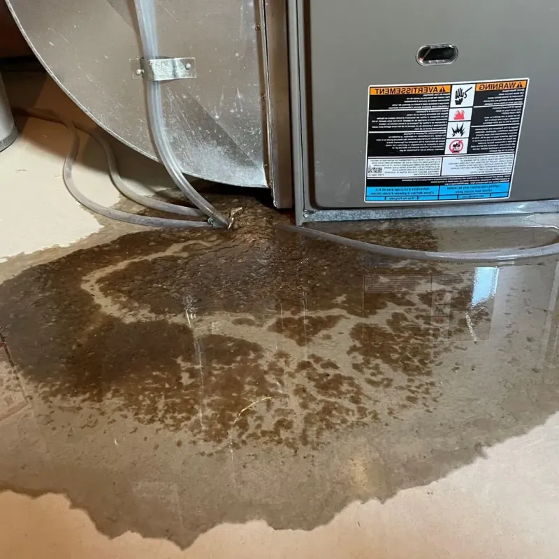 Pipe Burst and Leak Restoration in Napoleon, MI
