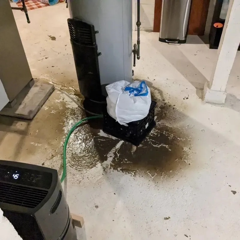 Sewage Backup Cleanup Service in Napoleon, MI